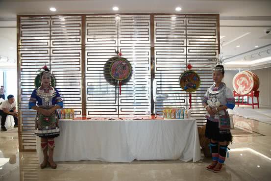 高山魚(yú)稻 千年侗族稻作文化拯救計(jì)劃在南寧啟動(dòng)